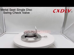 Enkele plaat wafer swing terugslagklep nul lekkage