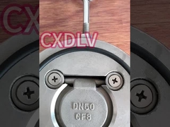 industriële wafer enkelvoudige schommelterugslagklep