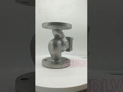 De Flens die van het boleinde de Hoge druk SS316 WCB opheffen niet van de Terugkeerklep