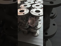 Rustvrij staal Flanged Y strainer klep voor olie water gas energiebesparing