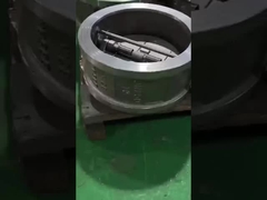 twee-plaat-controleventiel