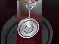 150LB CF8M NBR/EPDM O-ring Elastiek afdichtingscontroleventiel voor water/stoom/olie/gas