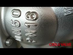 DN50 DN80 DN100 Roestvrij staal globe stop opheffing Check Valve Flange verbindingsstijl
