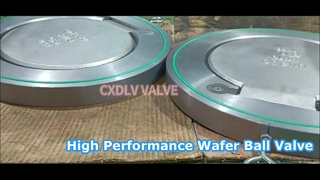 Enkele plaat Swing Wafer-terugslagklep Viton-zitting