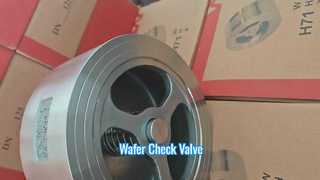 3/4 inch wafer-terugslagklep voor chemische verwerking