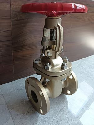 Steegend handwielpoortklep met 150LB roestvrij staal CF8M flenseinden voor vloeistofcontrole en gemakkelijke bediening