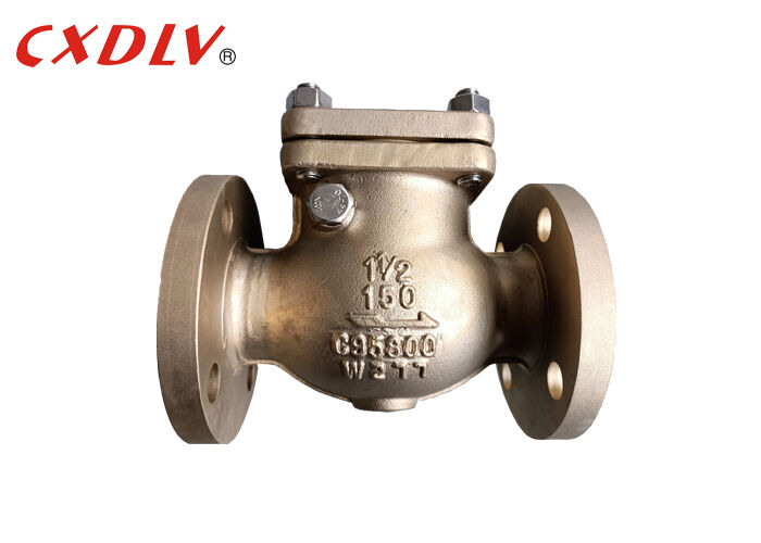 Robuuste terugslagklep met flens roestvrij staal 304 horizontaal 6 inch geschikt voor industrieel voorkomen van waterslag en het garanderen van de werking van de pomp
