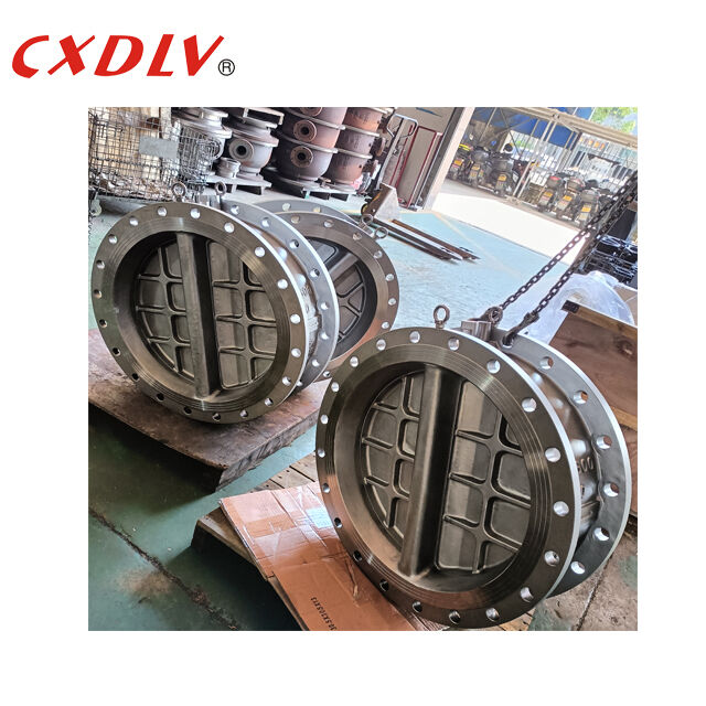 DN600 Dual Plate Check Valve Duplex Staal 2205 PN10 Flanged