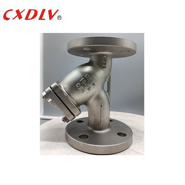 DN50 PN16 Y zeefklep 300 micron SUS304 veerringen met flensaansluiting