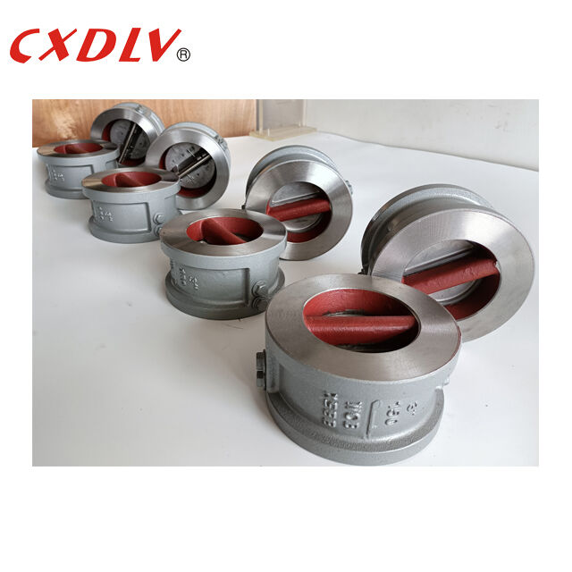 WCB Lichaam Metalen Zetel Dubbele Platen Wafer Terugslagklep Terugslagkleppen 150LB Aansluiting